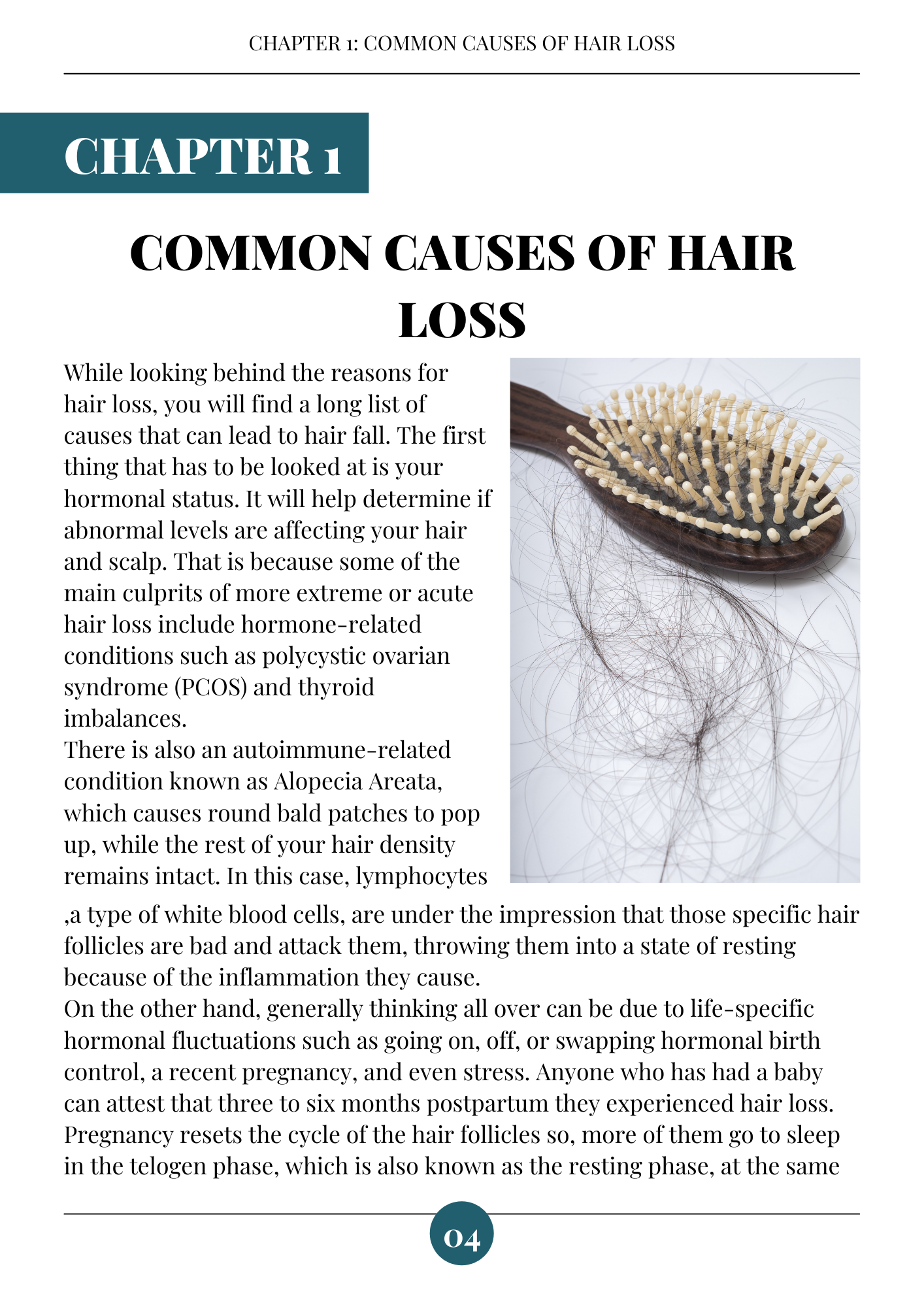 FREE DOWNLOAD EBOOK “ How to fight hair loss and alopecia”